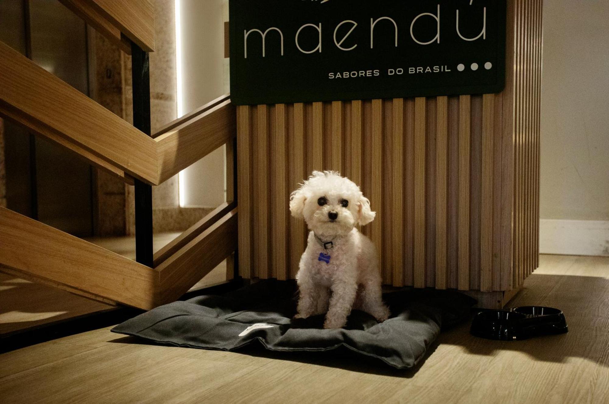 Mercure Maceio Pajucara Bagian luar foto
